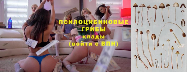 индика Алзамай