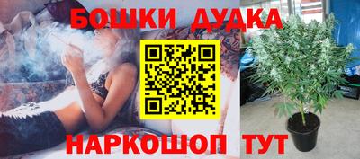 герыч Дубна