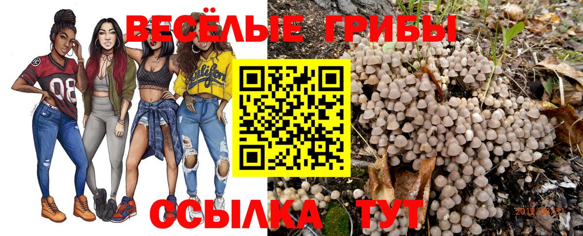 Галлюциногенные грибы Psilocybine cubensis  Вход с VPN  Псилоцибиновые грибы GOLDEN TEACHER  Коркино 